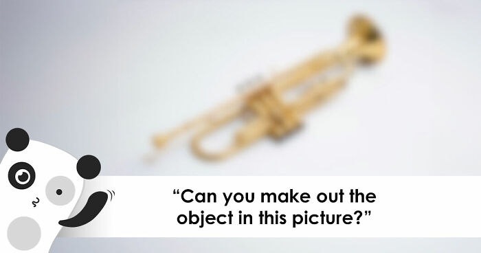 “How Sharp Is Your Vision?”: Try Naming All 28 Items We Blurred Out In These Images