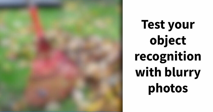 “How Sharp Is Your Vision?”: Try Naming All 28 Items We Blurred Out In These Images