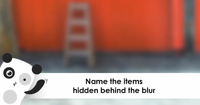 “How Sharp Is Your Vision?”: Try Naming All 28 Items We Blurred Out In These Images