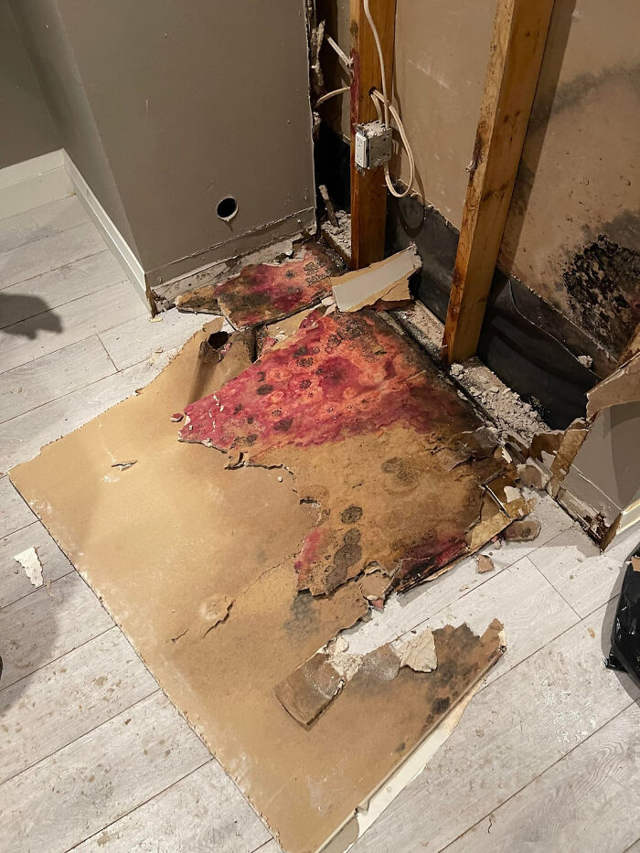 Severely damaged home interior with mold and water damage beneath torn flooring in a home regretingly bought by owners.