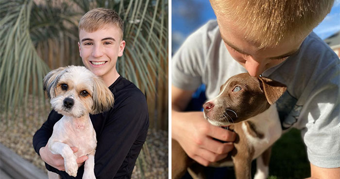 This 14-Year-Old Has Helped Save Over 5,000 Shelter Dogs (30 Pics)