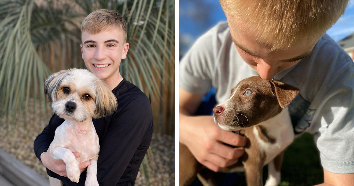 Teen With A Mission: 30 Dogs Whose Lives Were Changed By One Boy