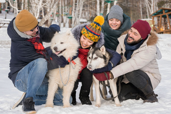 A happy family enjoying winter outdoors with two dogs, embracing the joy of breaking family tradition and getting a dog.
