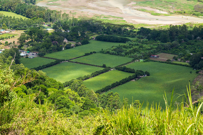 Aerial view of green farmland divided into plots with brother inherited land money concept in a rural setting.