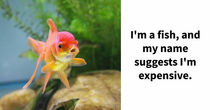 Test Your Brain By Guessing The Words From 30 Short But Challenging Hints