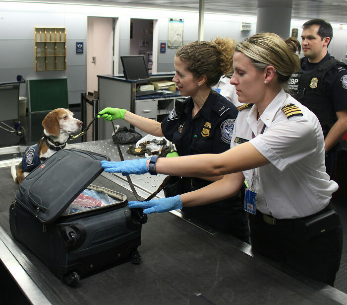 Influenciadora de 23 anos enfrenta prisão depois que policiais fazem descoberta perturbadora em sua mala