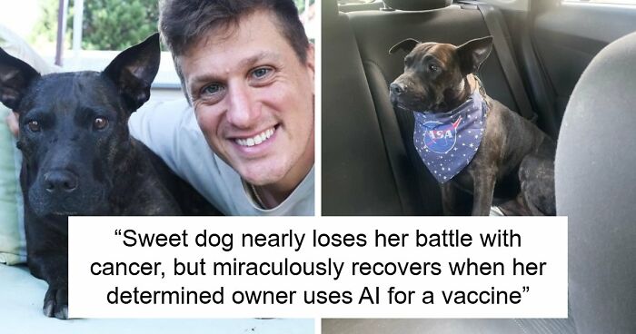 Guy’s Use Of ChatGPT Helps To Save Dog’s Life By Reducing Tumor By Half, Scientists Stunned