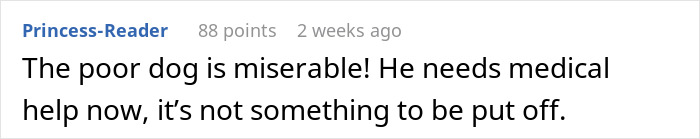 Comment expressing concern over the dog's health, highlighting issues caused by a neglectful owner and dog health problems.