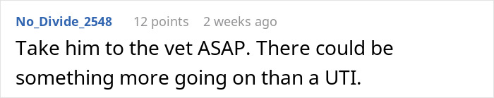 Comment warning neglectful owner about dog health problems, urging immediate vet visit for possible serious issues.