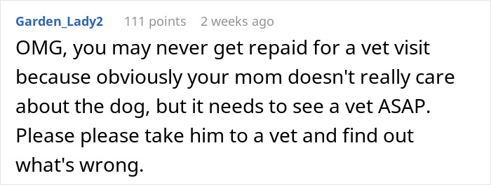 Comment describing concern over neglectful owner dog health problems and urging urgent vet visit for the dog.