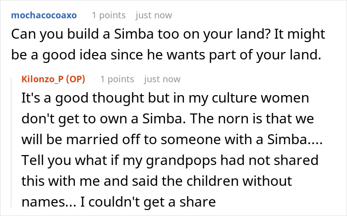 Screenshot of a Reddit conversation discussing brother inherited land money and cultural inheritance rules.