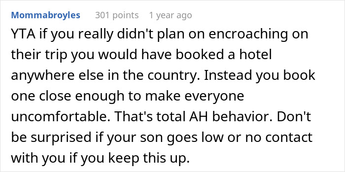 Reddit comment criticizing a MIL for planning a spite trip that causes tension with her son and daughter-in-law.