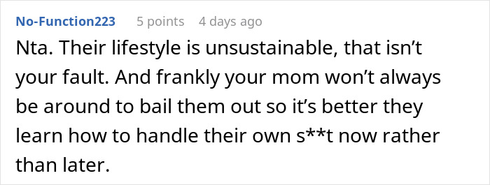 Comment highlighting a family&rsquo;s unsustainable lifestyle and the expectation for grandma to support them financially.