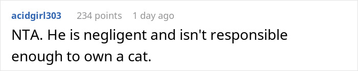 Comment stating that a person is negligent and not responsible enough to own a cat in a neutering neighbor cat stray discussion.