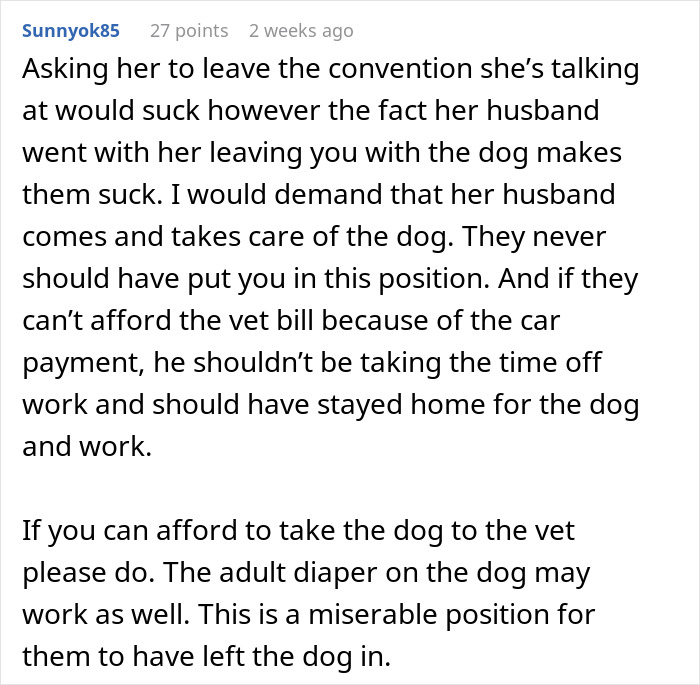 Comment discussing neglectful owner dog health problems and issues with caring for a sick dog at home.