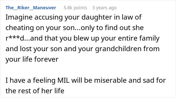 Comment text discussing a MIL secretly DNA testing a grandkid and the resulting family fallout and loss.