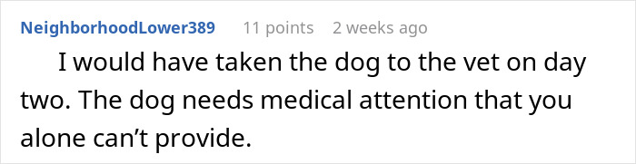 Comment about neglectful owner dog health problems emphasizing urgent medical attention needed for the dog by a vet.