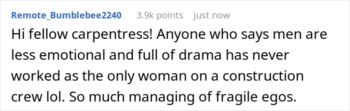 Comment from user discussing drama and emotions on a construction crew, relating to a lazy guy stealing coworker&rsquo;s ladder.