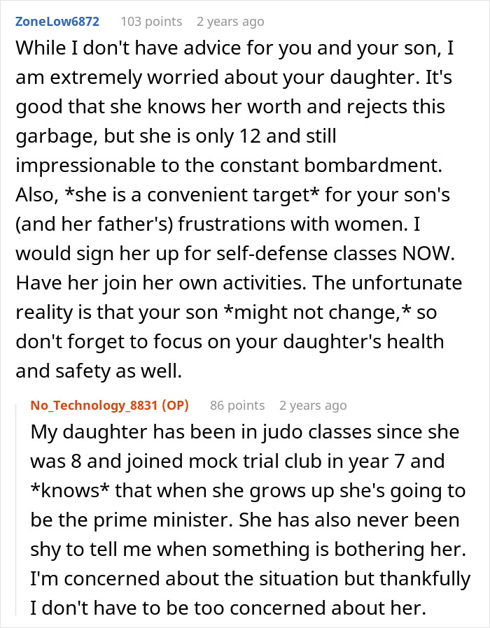 Reddit comments discussing a woman divorced for cheating and her ex using their son to continue the conflict.