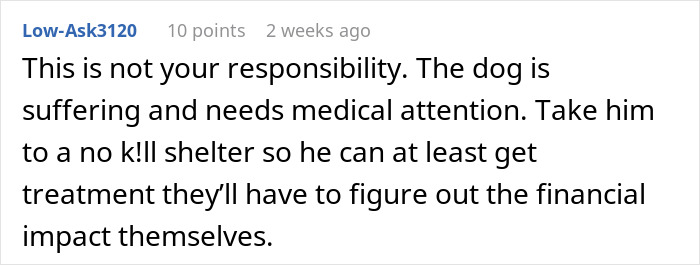Comment advising to take suffering dog to a no-k**l shelter for medical care, highlighting neglectful owner dog health problems.