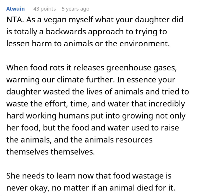Comment discussing vegan teen, food wastage, and environmental impact of wasting meat in a family conflict context.