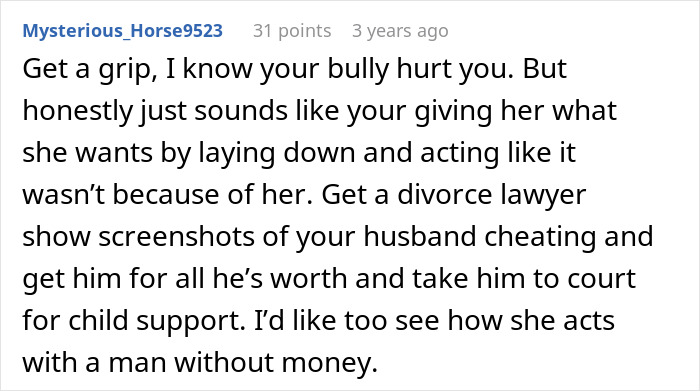 Comment advising a person hurt by a bully to get a divorce lawyer and use evidence of husband&rsquo;s affair in court.