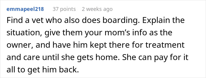Comment suggesting finding a vet who offers boarding to address neglectful owner dog health problems and ensure proper care.