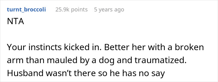 Wife and twin girls running by a fence while being chased by a dog in a suburban backyard setting