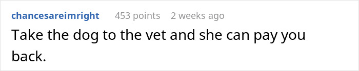 Comment on a forum post about dog care, emphasizing the need to take the dog to the vet to address neglectful owner dog health problems.