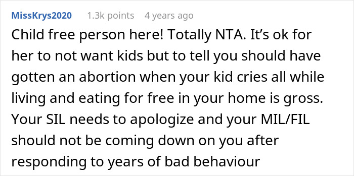 Screenshot of a Reddit comment discussing SIL baby rude relationship and family conflicts over parenting choices.