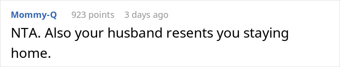 Comment text reading NTA and discussing husband resenting woman for staying home in a family dispute about job status. Comment text reading NTA and discussing husband resenting woman for staying home in a family dispute about job status.