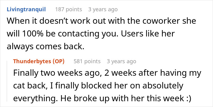 Man&rsquo;s &ldquo;Perfect&rdquo; Relationship Falls Apart After Girlfriend Cheats, Takes His Cat And Disappears