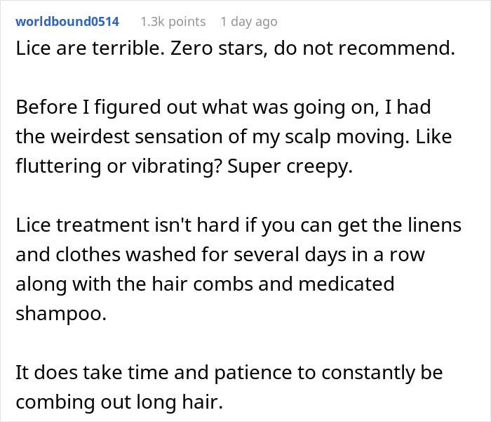 Alt text: Screenshot of a Reddit comment describing the difficulty and patience needed for effective lice treatment.
