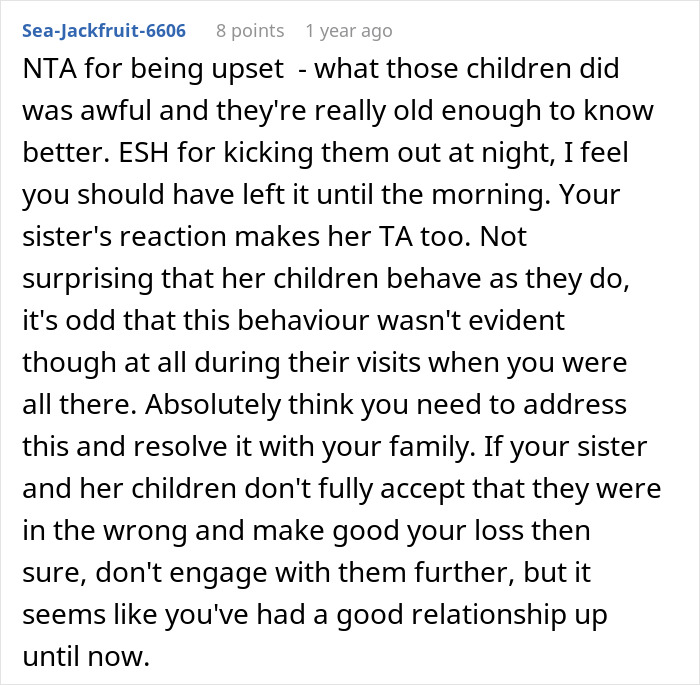 Woman Kicks Sister And Her “Monster” Kids Out In The Middle Of The Night, Bans Them From Visiting Woman Kicks Sister And Her “Monster” Kids Out In The Middle Of The Night, Bans Them From Visiting