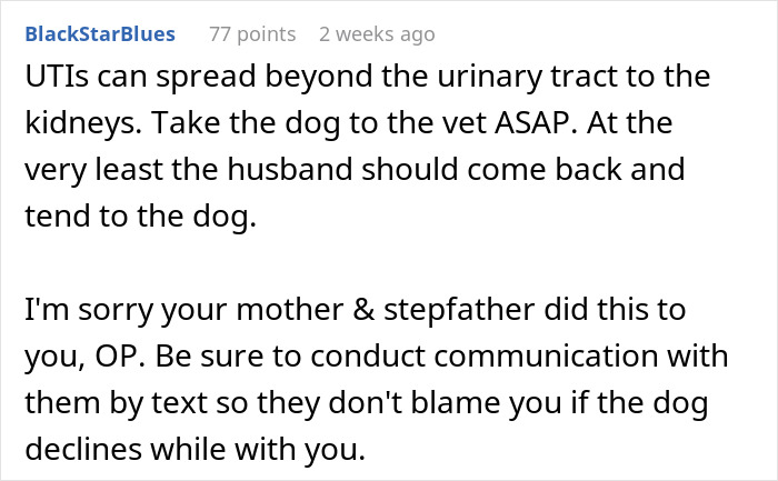 Comment discussing the risks of UTIs spreading in dogs and urging action due to neglectful owner dog health problems.