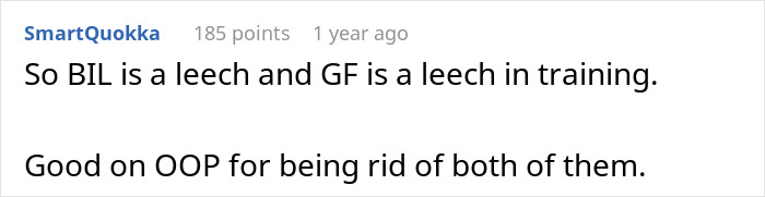 Screenshot of a Reddit comment discussing a lazy brother-in-law who can&rsquo;t handle a guy with one arm cutting vegetables.