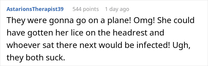 Online comment expressing concern about lice spreading from untreated infestation on a plane headrest.