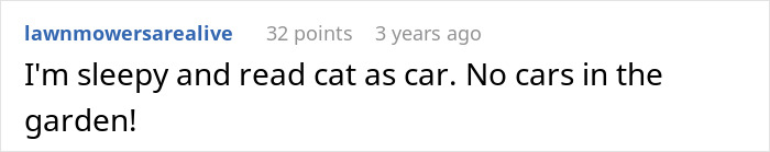 Lady Ends Up Homeless When Sis Kicks Her Fam Out After They Endanger Her Feline Friend