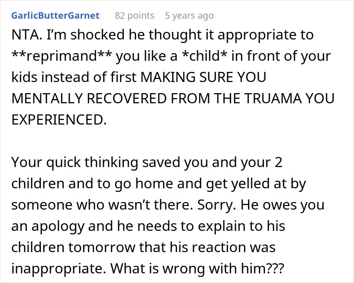 Text from a online comment showing a person supporting a wife and twin girls at a fence chased dog incident.