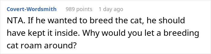Screenshot of an online comment discussing responsibility for a breeding cat roaming outside in a neutering neighbor cat stray context.