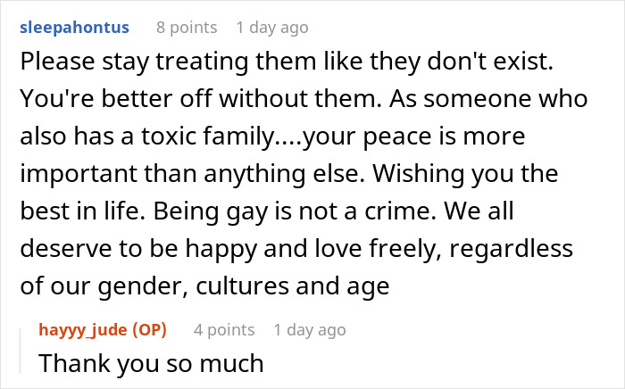 Reddit comment discussing toxic family and the challenges faced by a gay man regarding acceptance and retirement funding.