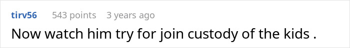 Reddit comment expressing skepticism about a father trying to gain custody of kids amid family chaos.