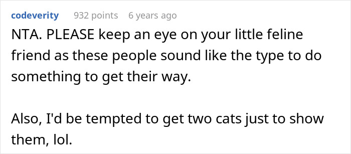 Comment advising to watch a cat carefully and humorously suggesting getting two cats while breaking family tradition getting dog.