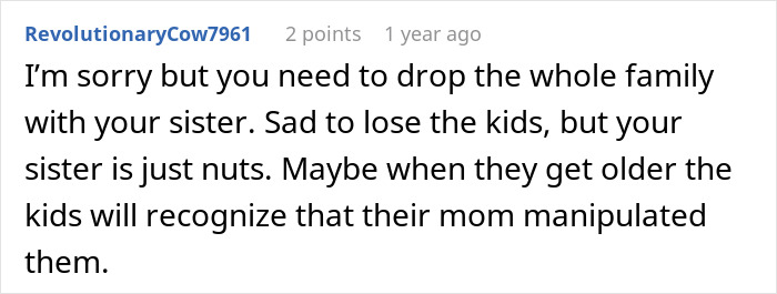 Comment expressing sadness over niblings being brainwashed to hate a man who cuts contact with family.