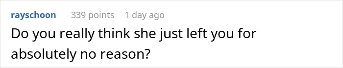 Screenshot of an online comment questioning if the fianc&eacute;e left for no reason in a butterfly chase story.