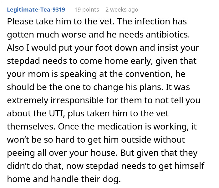 Comment discussing neglectful owner dog health problems and urging immediate vet care for worsening infection.