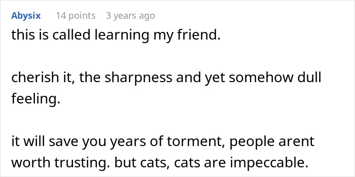 Man&rsquo;s &ldquo;Perfect&rdquo; Relationship Falls Apart After Girlfriend Cheats, Takes His Cat And Disappears