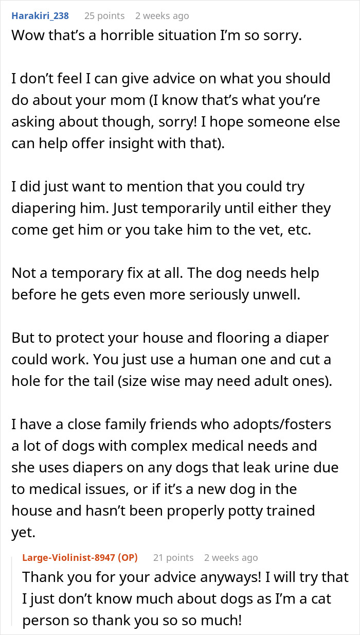 User discussing temporary diapering solution to protect home, highlighting neglectful owner dog health problems and need for urgent care.