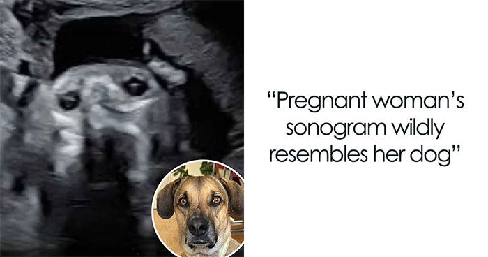 50 Incredible Stories Shared By ‘We Rate Dogs’ That Might Make You Laugh And Cry