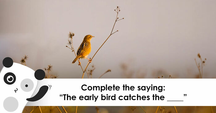 From Famous Quotes To Iconic Lyrics: Type The Missing Word In All 30 Phrases